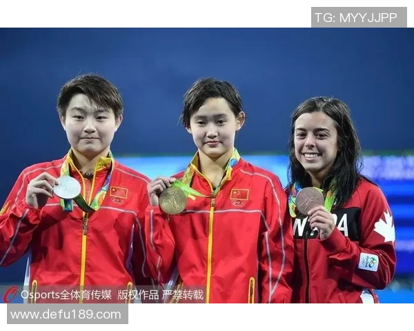 成都足球队在钻石联赛中的拼搏历程与荣耀时刻全景回顾